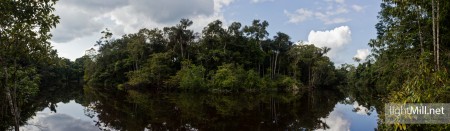 Black Water River in Cuyabeno